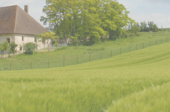 Gîte - Champagne Monial