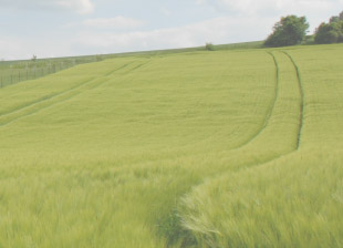 Gîte - Champagne Monial