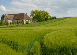 Gîte - Champagne Monial