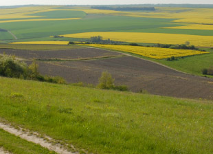 Pays - Champagne Monial